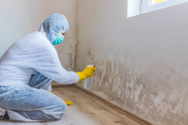 Licensed Mold Testing service in Bridgewater, VA - WQB Mold Removal