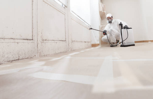 24/7 Emergency Mold Testing experts in Bridgewater, VA