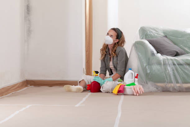 Reliable Mold Testing contractor in Bridgewater, VA by WQB Mold Removal